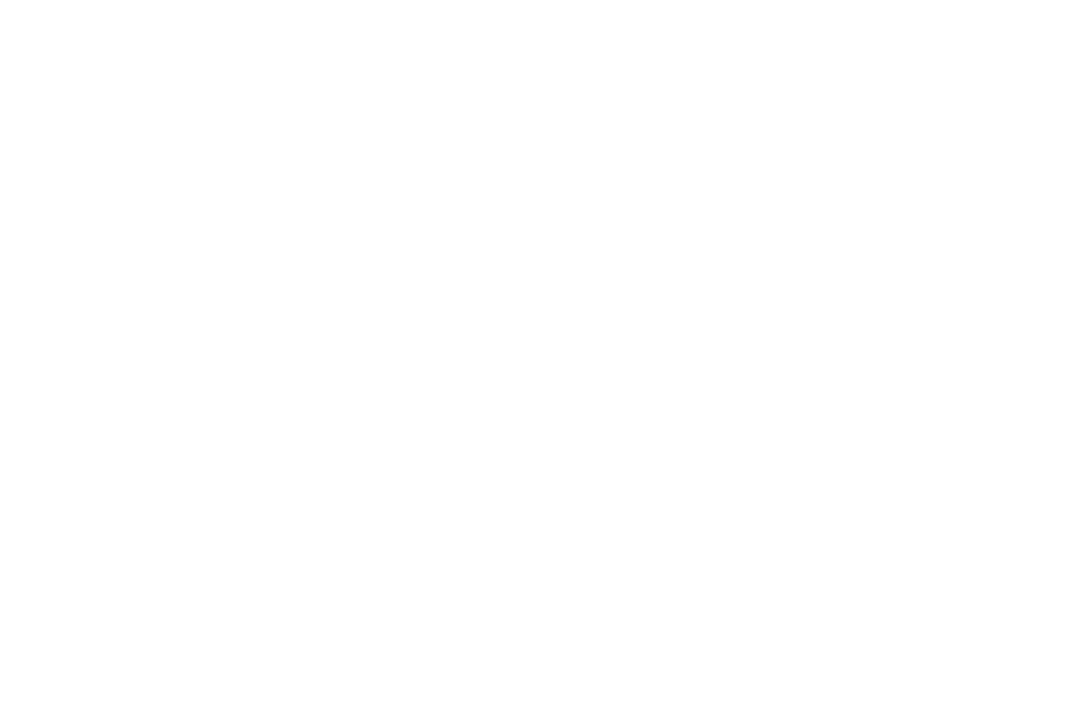 Prison Tag Logo